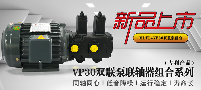 VP30雙聯(lián)泵組合.jpg